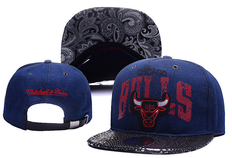 Bulls Team Logo Navy Adjustable Hat YD