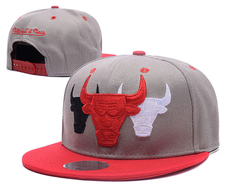 Bulls Team Logo Grey Mitchell & Ness Adjustable Hat GS