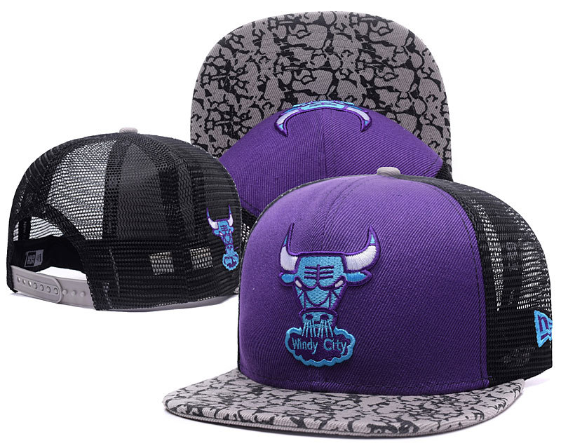 Bulls Team Logo Purple Adjustable Hat GS