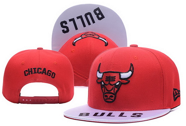 Bulls Team Logo Red Adjustable Hat