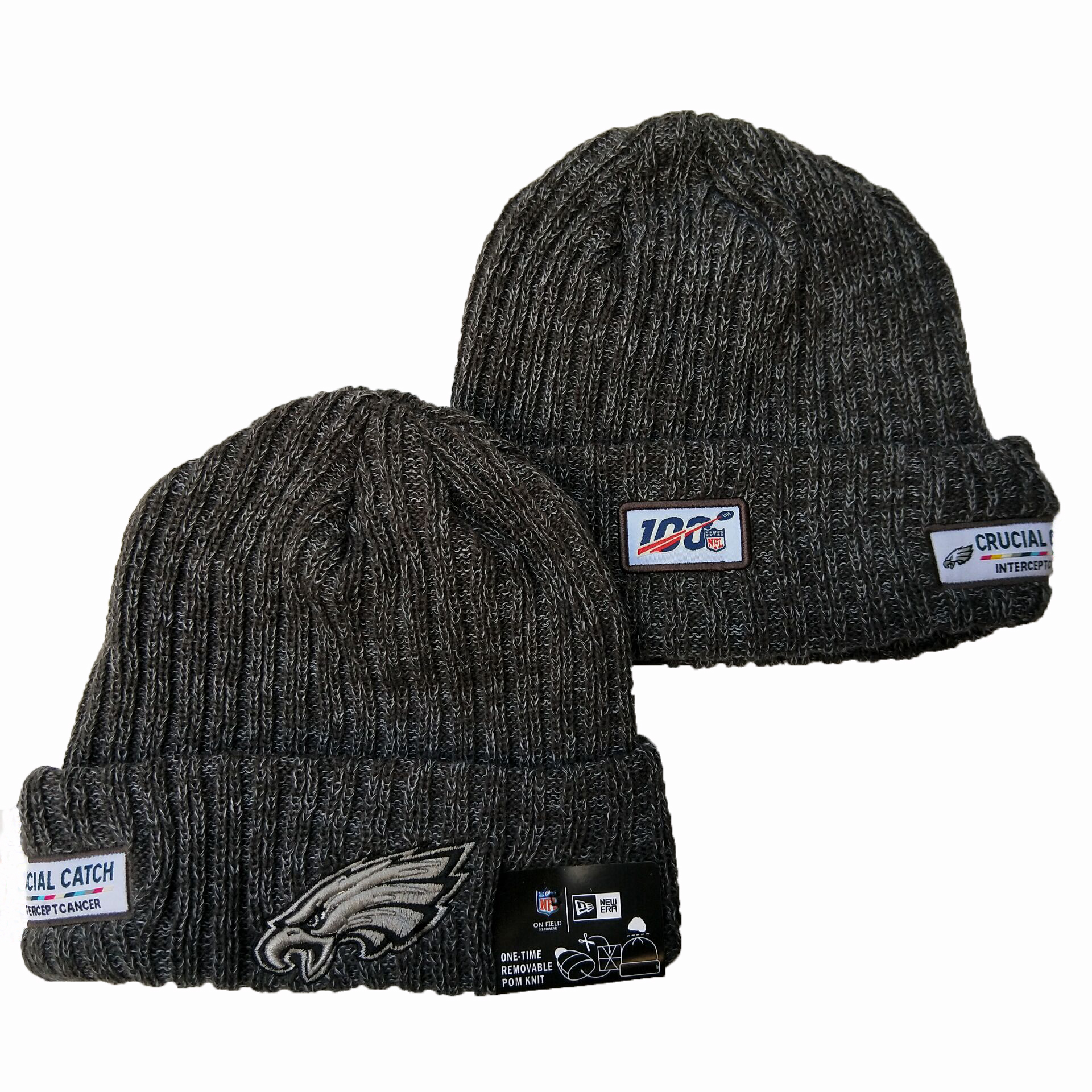 Eagles Fresh Logo Gray 100th Season Pom Knit Hat YD