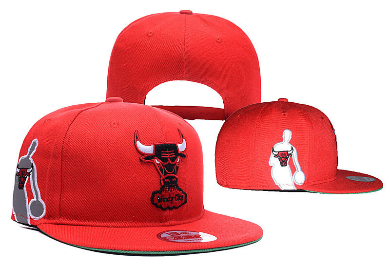 Bulls Team Logo Red Special Adjustable Hat YD