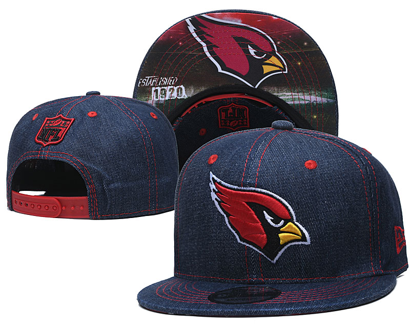 Arizona Cardinals Team Logo Navy Established Adjustable Hat YD
