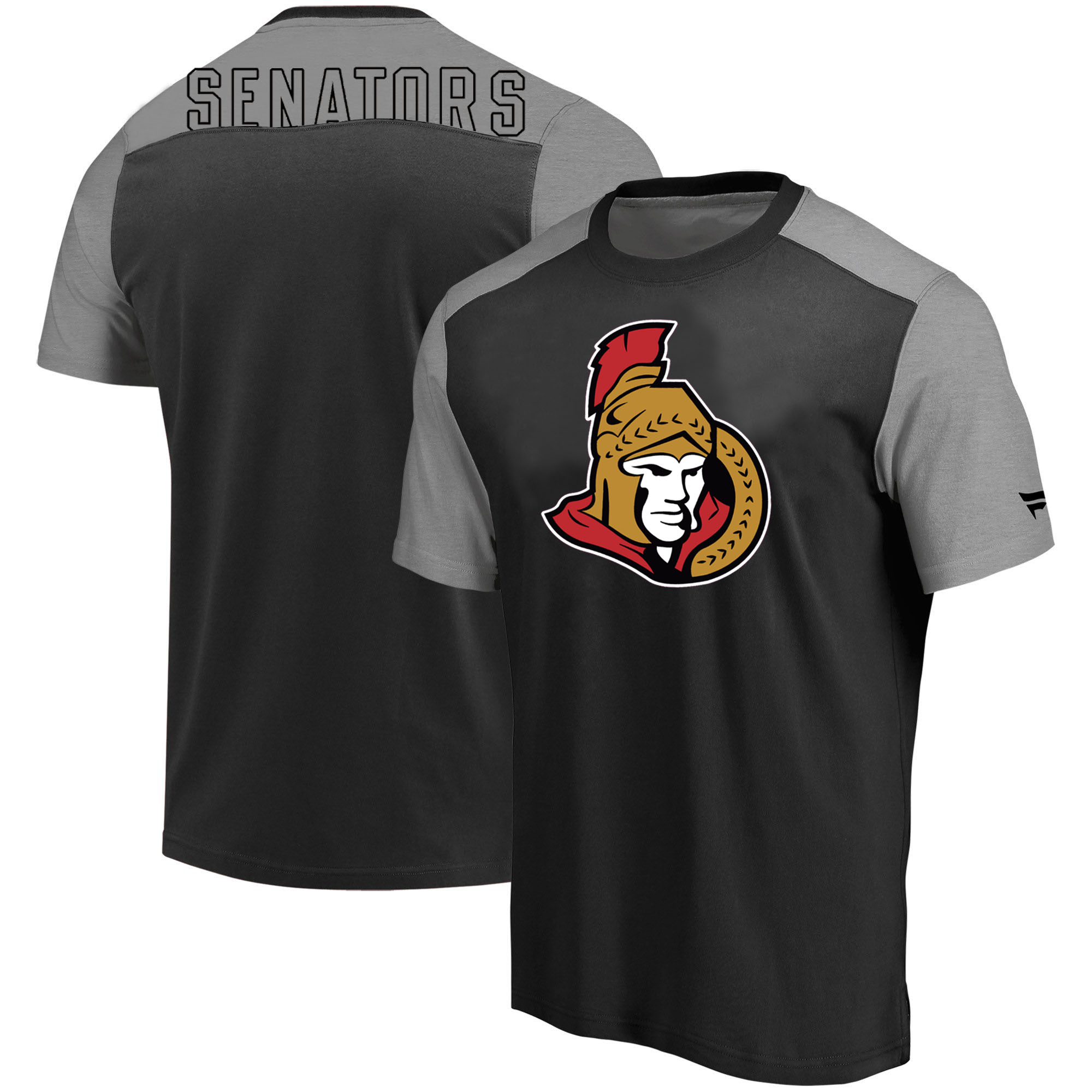 Ottawa Senators Fanatics Branded Iconic Blocked T-Shirt Black Heathered Gray
