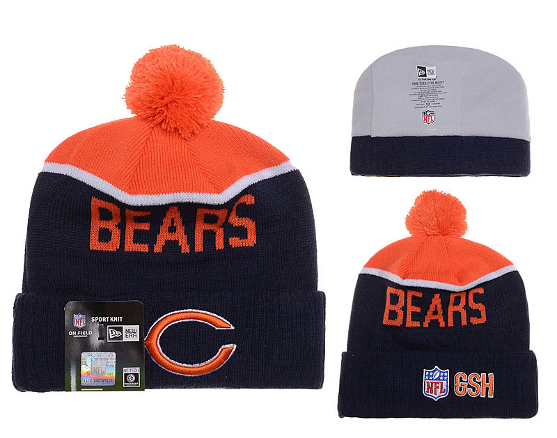 Bears Fashion Knit Hat YD