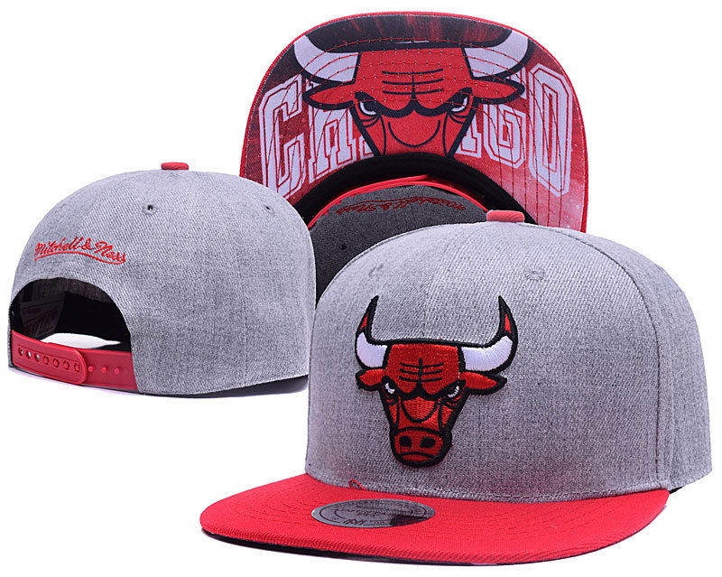 Bulls Team Logo Grey Mitchell & Ness Adjustable Hat LH
