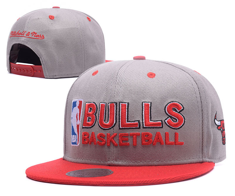 Bulls NBA Logo Grey Adjustable Hat GS