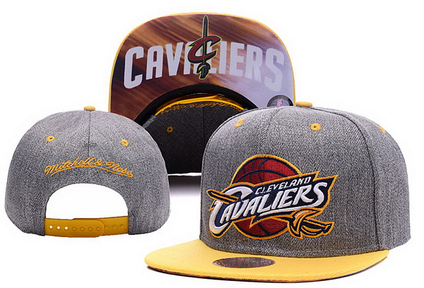 Cavaliers Team Logo Gray Adjustable Hat