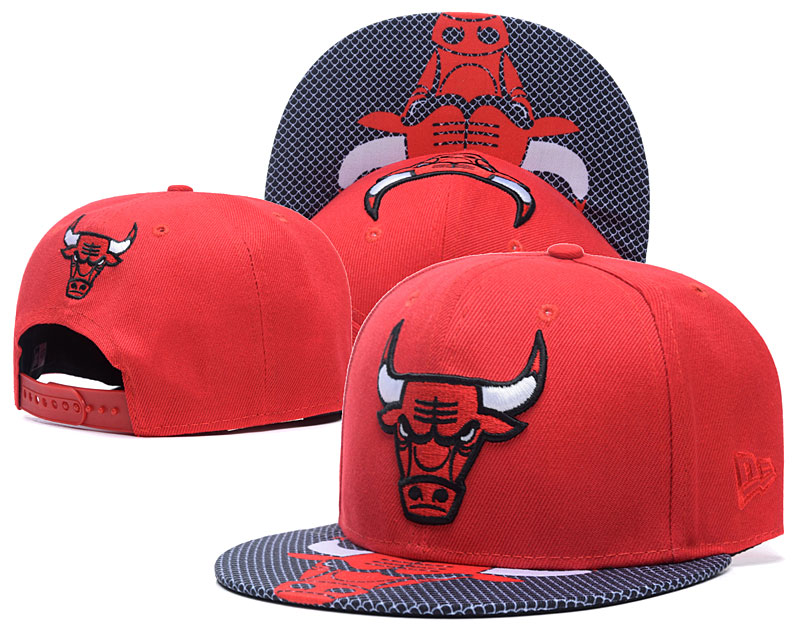 Bulls Team Logo Red Adjustable Hat YS