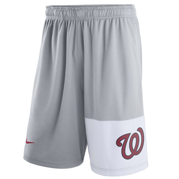 Men's Washington Nationals Nike Gray Dry Fly Shorts