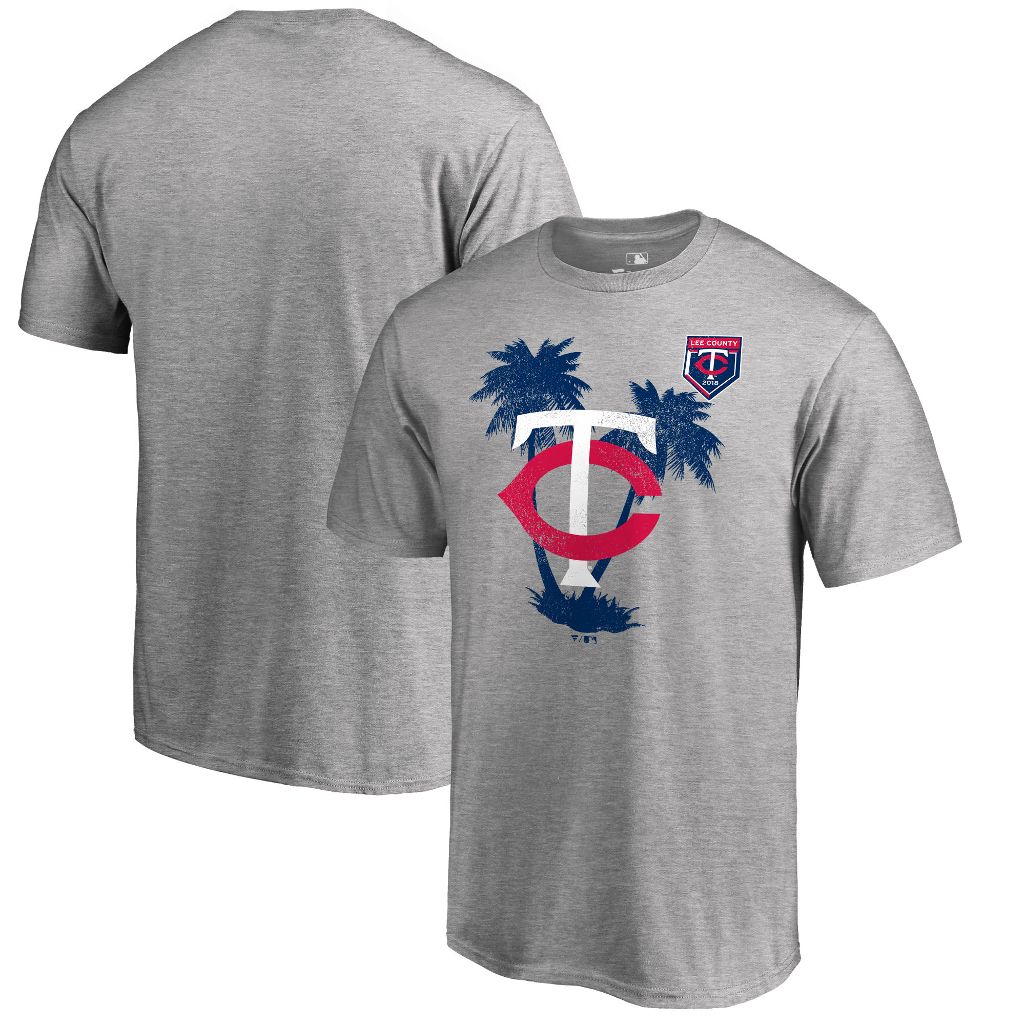 Minnesota Twins Fanatics Branded 2018 MLB Spring Training Vintage T Shirt Heather Gray