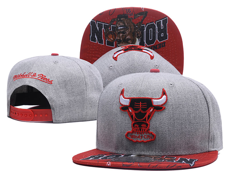Bulls Fresh Logo Gray Adjustable Hat LH