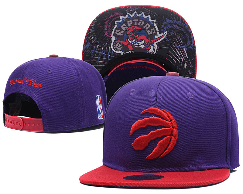 Raptors Team Logo Purple Mitchell & Ness Adjustable Hat LH