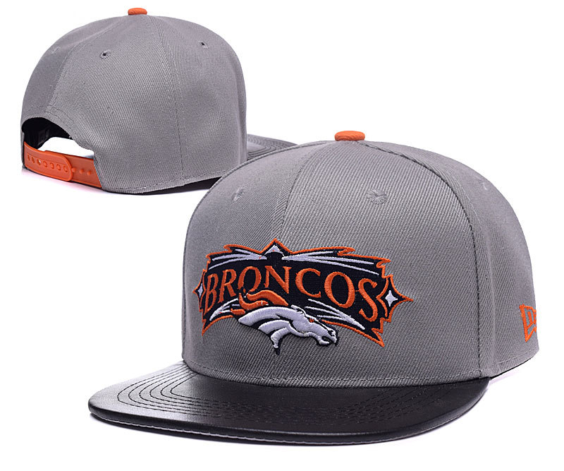 Broncos Team Logo Gray Adjustable Hat LH