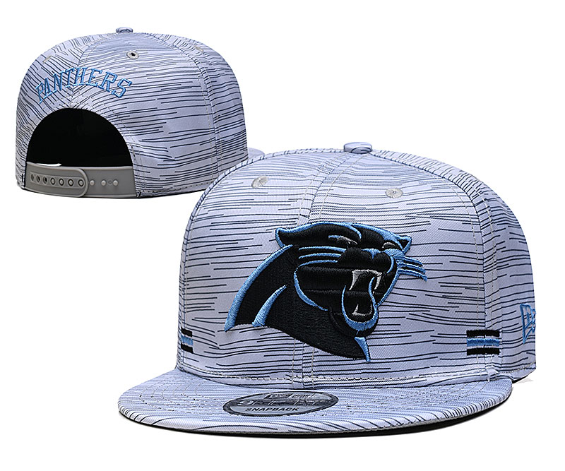 Panthers Team Logo New Era Gray 2020 NFL Sideline Adjustable Hat TX