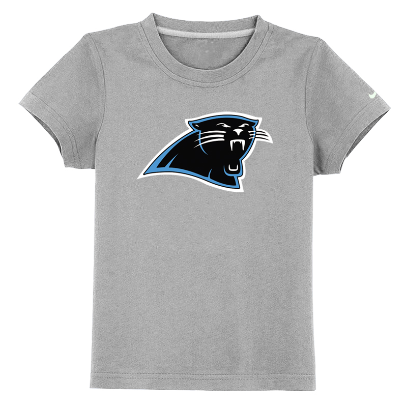 Carolina Panthers Sideline Legend Authentic Logo Youth T-Shirt Grey
